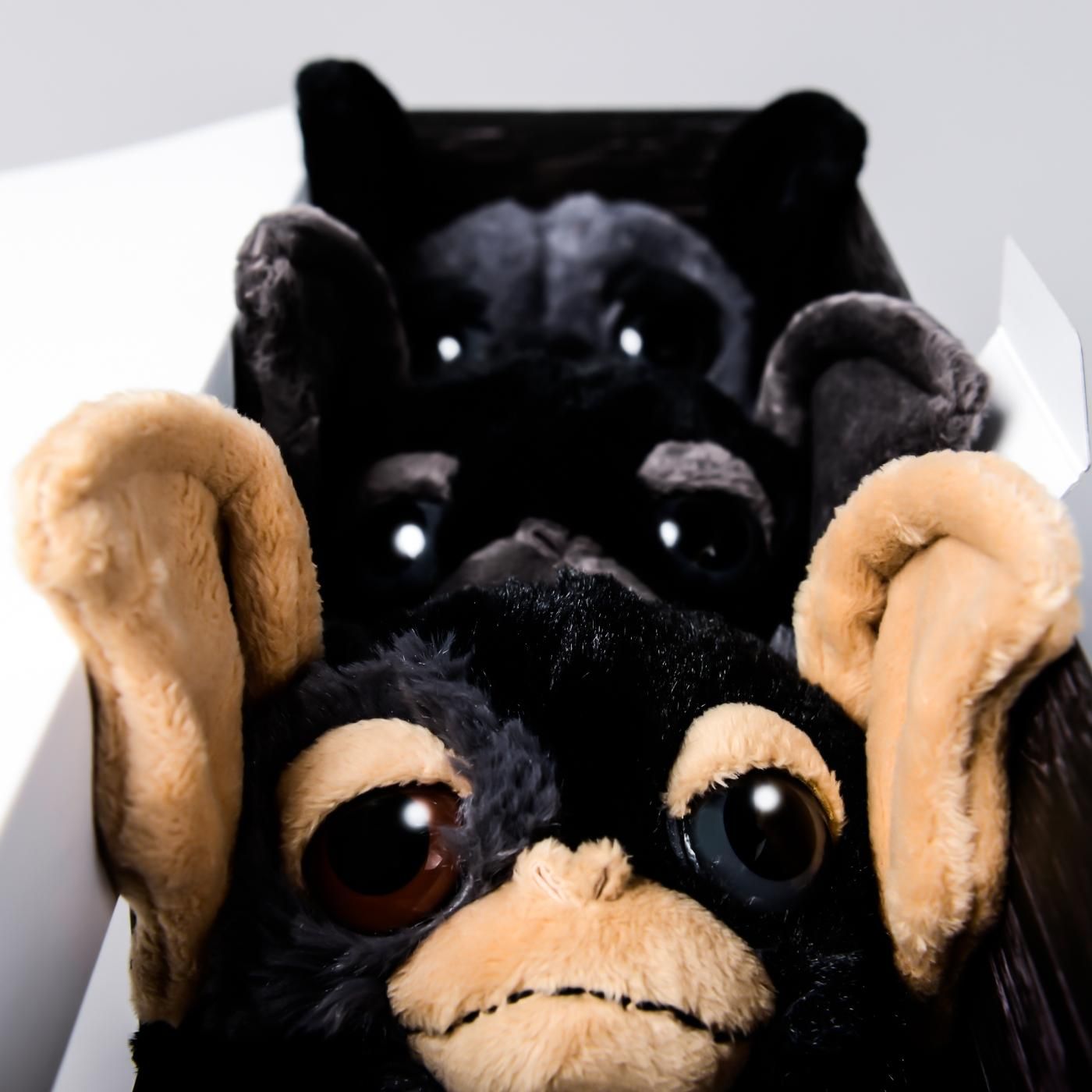 GREMLiNS × BOTANIZE 3dolls set